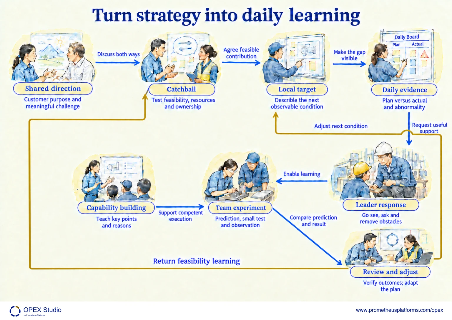 Show how direction, local evidence, coaching and follow-through reinforce each other. The labelled map shows Shared direction, Catchball, Local target, Daily evidence, Leader response, Team experiment, Capability building, Review and adjust.
